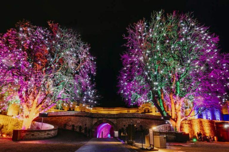 Christmas Garden
