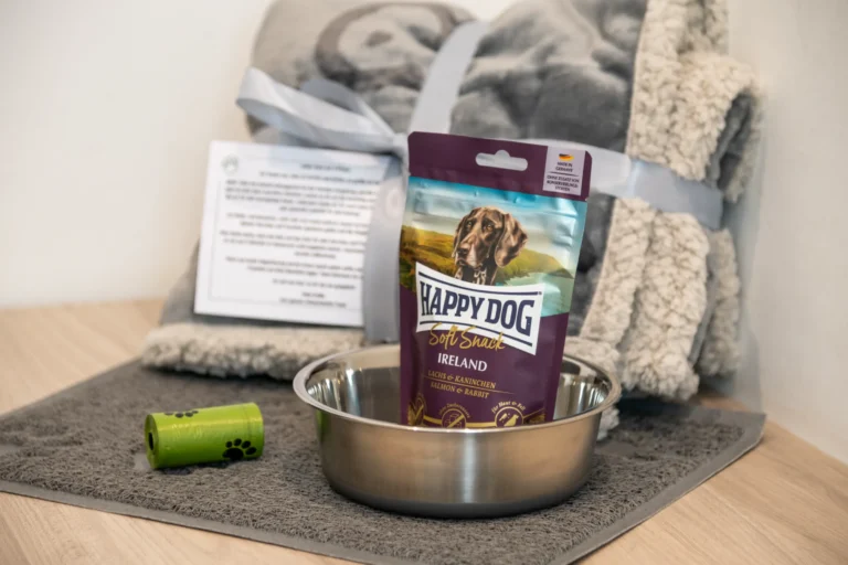 hundefutter-im-zimmer
